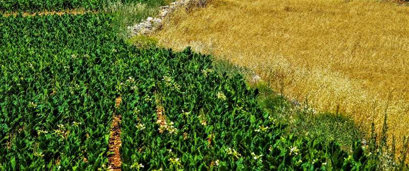 Сельхозтехника